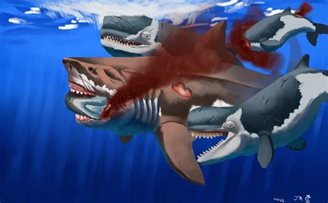 megalodon y leviatan|Megalodon Shark vs. the Leviathan Whale: Who .
